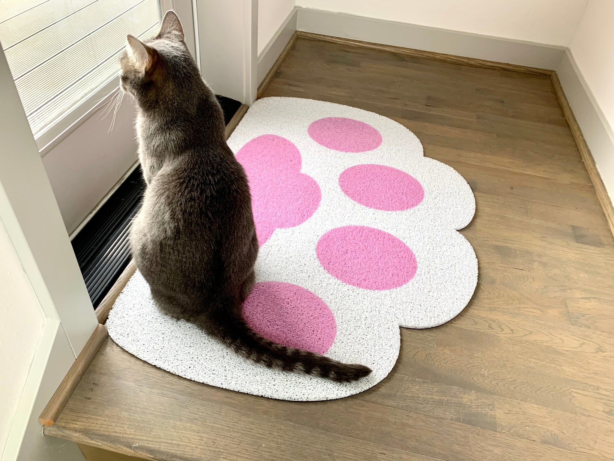 Cricket & Junebug Bathroom Rug/Mat Cat Paws 23x35 Inch (White & Pink)